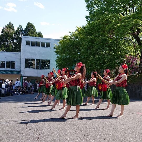 写真 2021-05-03 21 05 39